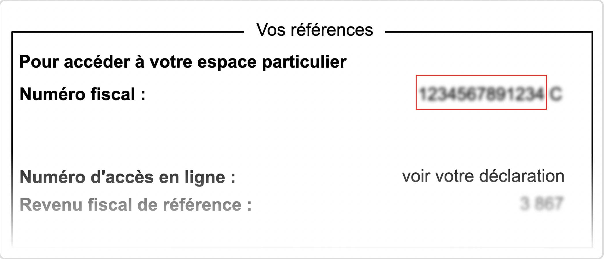 French tax number (numéro fiscal) on tax documents