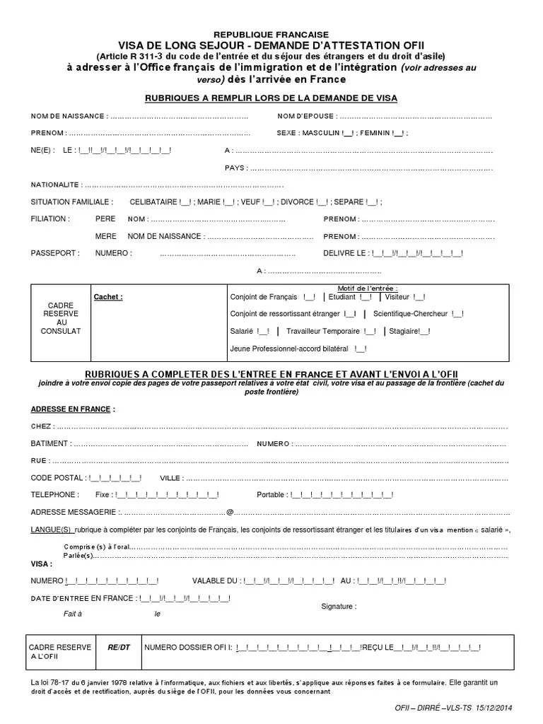 Formulaire en ligne France-Visas pour le visa long séjour visiteur VLS-TS