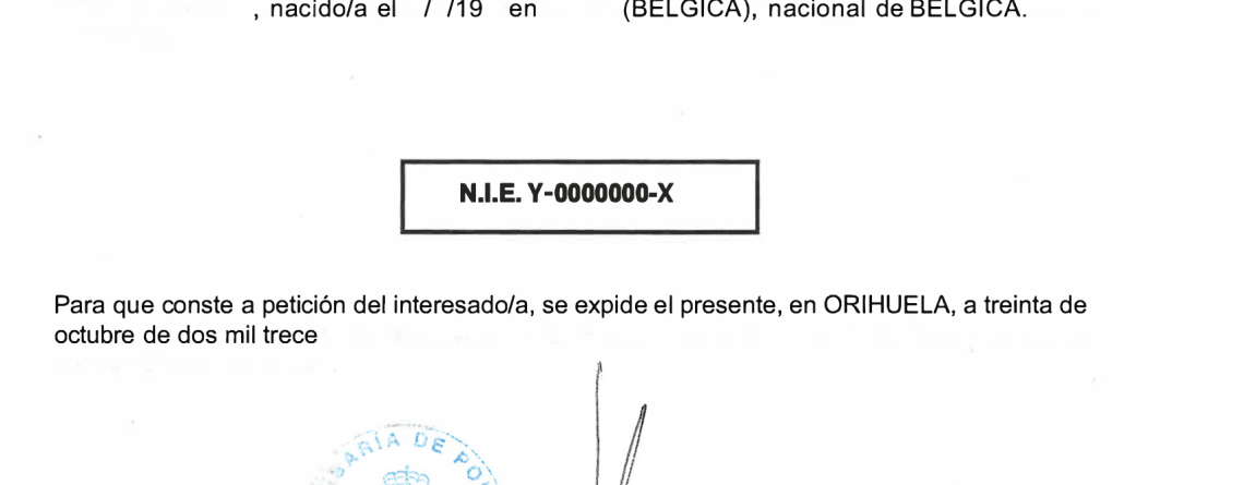 Example of a NIE document