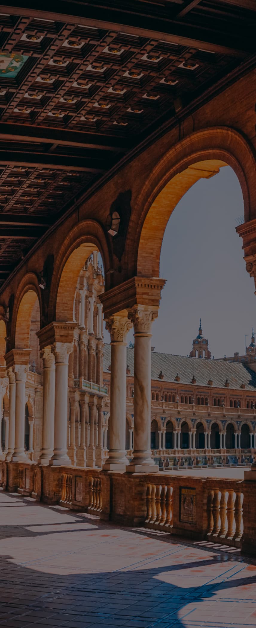 NIE process illustration